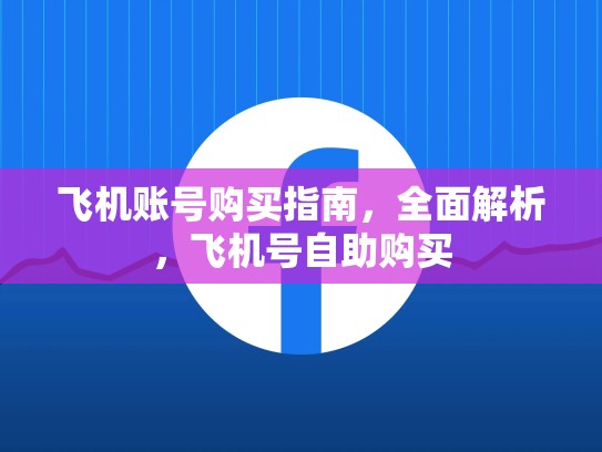 飞机账号购买指南，全面解析，飞机号自助购买