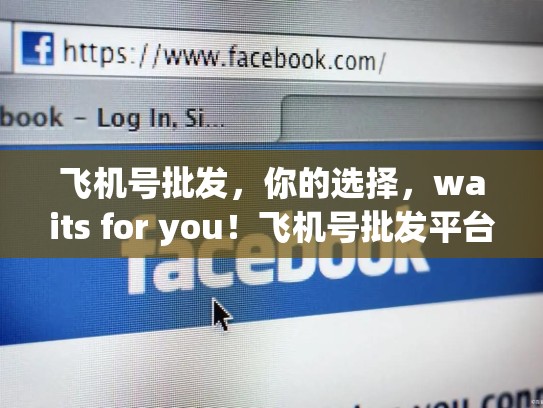 飞机号批发，你的选择，waits for you！飞机号批发平台