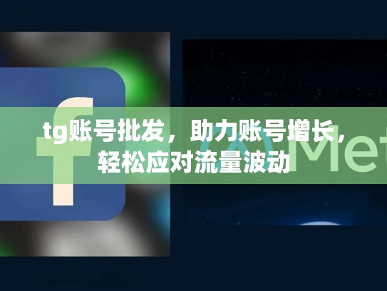 tg账号批发，助力账号增长，轻松应对流量波动