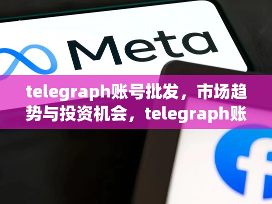 telegraph账号批发，市场趋势与投资机会，telegraph账号批发价