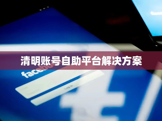 清明账号自助平台解决方案