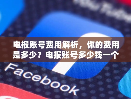 电报账号费用解析，你的费用是多少？电报账号多少钱一个