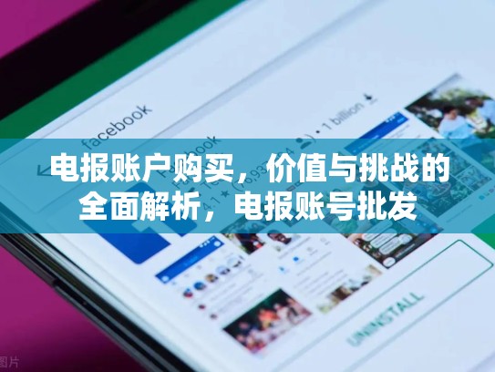电报账户购买,价值与挑战的全面解析,电报账号批发