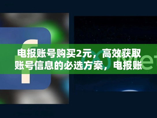 电报账号购买2元，高效获取账号信息的必选方案，电报账号会自动注销吗