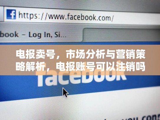 电报卖号，市场分析与营销策略解析，电报账号可以注销吗