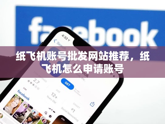 纸飞机账号批发网站推荐，纸飞机怎么申请账号
