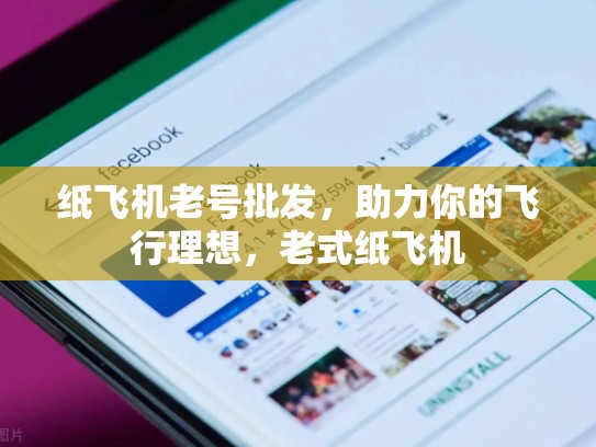 纸飞机老号批发，助力你的飞行理想，老式纸飞机