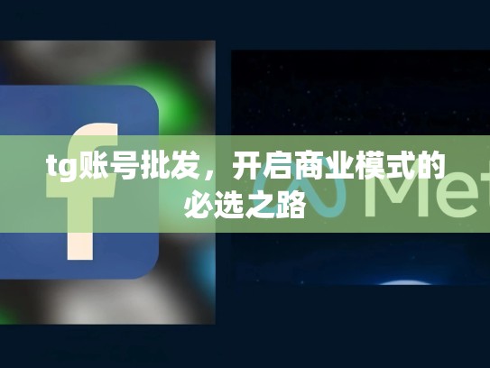 tg账号批发，开启商业模式的必选之路