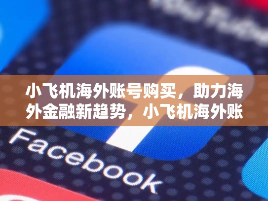 小飞机海外账号购买，助力海外金融新趋势，小飞机海外账号购买怎么退款