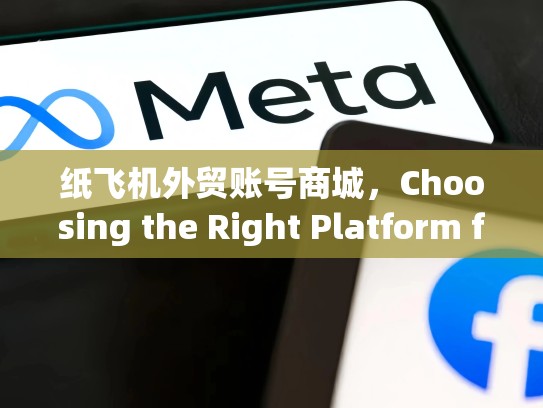 纸飞机外贸账号商城，Choosing the Right Platform for Your Export Mission，纸飞机帐号购买