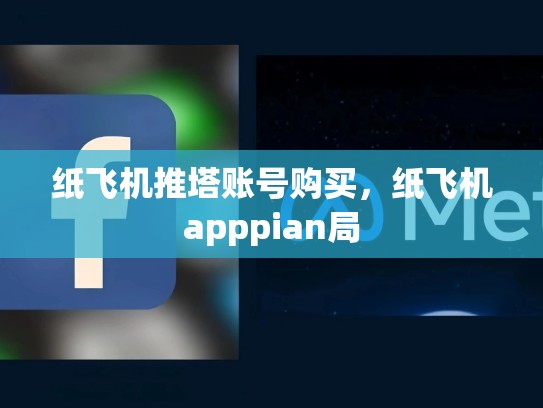 纸飞机推塔账号购买,纸飞机apppian局