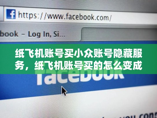 纸飞机账号买小众账号隐藏服务,纸飞机账号买的怎么变成自己的