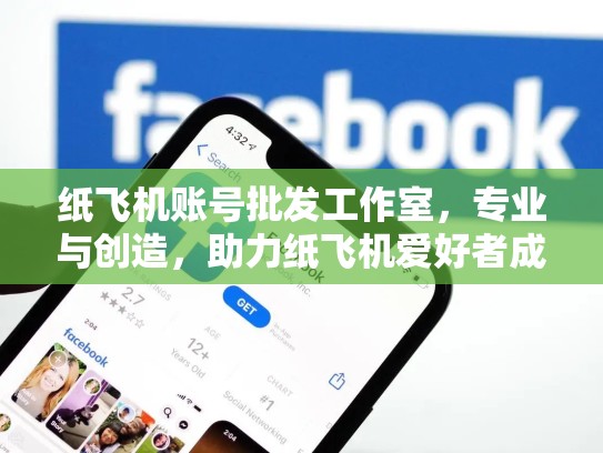 纸飞机账号批发工作室,专业与创造,助力纸飞机爱好者成长,纸飞机怎么申请账号
