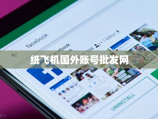 纸飞机国外账号批发网