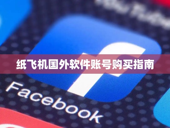 纸飞机国外软件账号购买指南