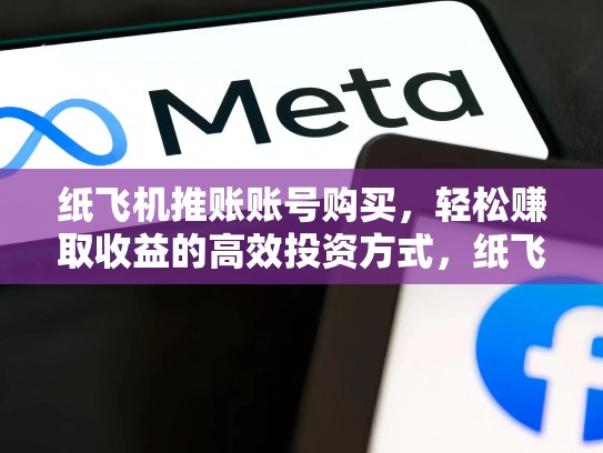 纸飞机推账账号购买，轻松赚取收益的高效投资方式，纸飞机账号是什么意思