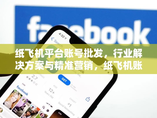 纸飞机平台账号批发，行业解决方案与精准营销，纸飞机账号是什么意思