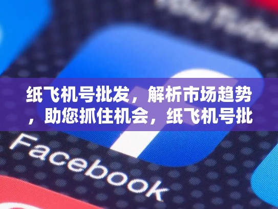 纸飞机号批发,解析市场趋势,助您抓住机会,纸飞机号批发网