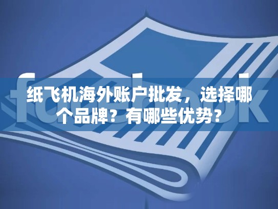纸飞机海外账户批发，选择哪个品牌？有哪些优势？