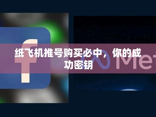 纸飞机推号购买必中，你的成功密钥