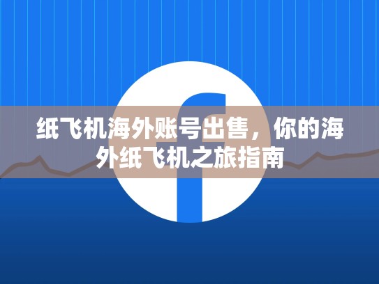 纸飞机海外账号出售,你的海外纸飞机之旅指南