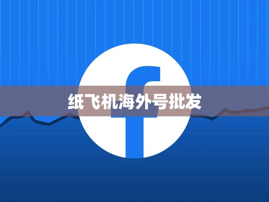 纸飞机海外号批发