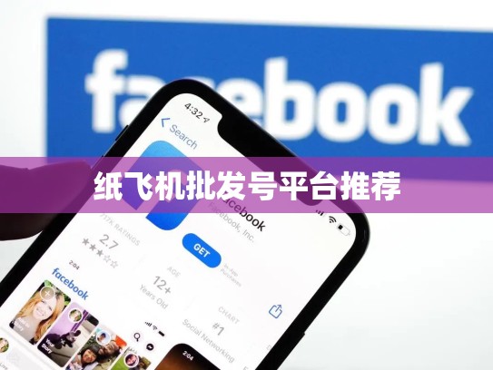 纸飞机批发号平台推荐
