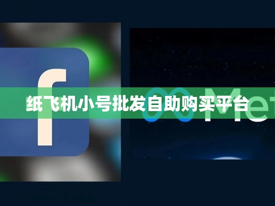 纸飞机小号批发自助购买平台