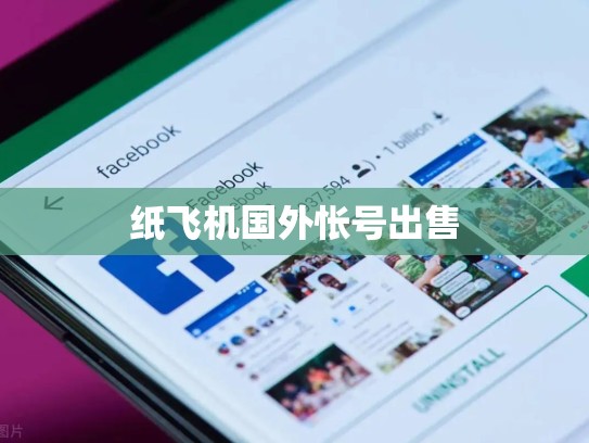 纸飞机国外怅号出售
