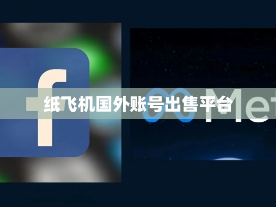 纸飞机国外账号出售平台