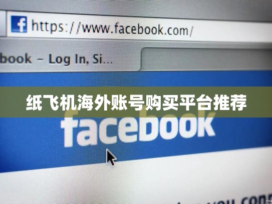 纸飞机海外账号购买平台推荐