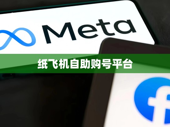 纸飞机自助购号平台
