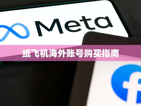 纸飞机海外账号购买指南