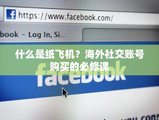 什么是纸飞机？海外社交账号购买的必修课