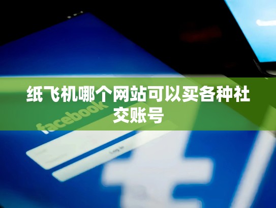 纸飞机哪个网站可以买各种社交账号