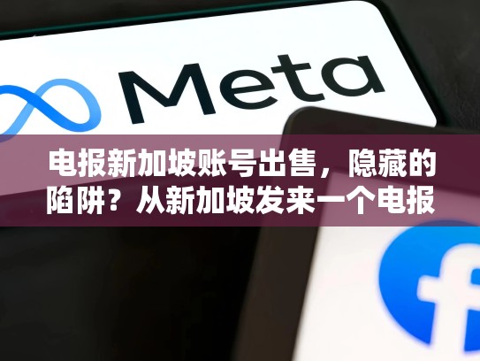 电报新加坡账号出售，隐藏的陷阱？从新加坡发来一个电报提案