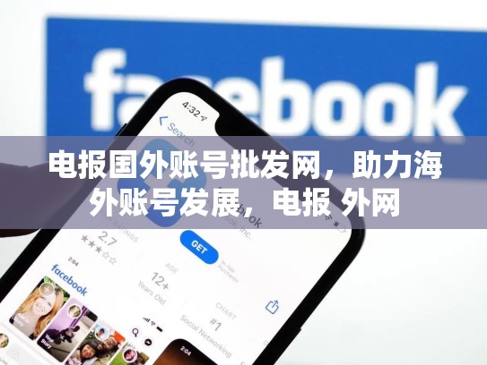 电报国外账号批发网，助力海外账号发展，电报 外网