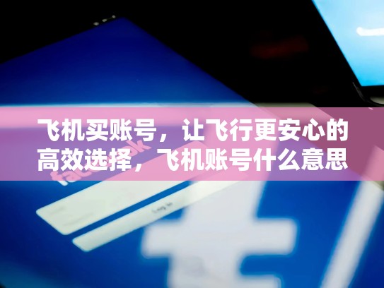 飞机买账号,让飞行更安心的高效选择,飞机账号什么意思