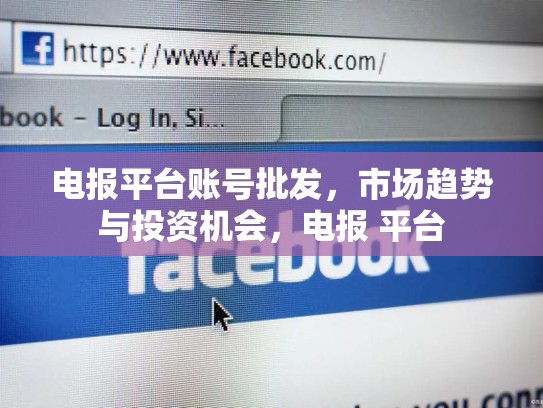 电报平台账号批发，市场趋势与投资机会，电报 平台