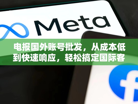 电报国外账号批发，从成本低到快速响应，轻松搞定国际客户，电报 外网