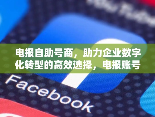 电报自助号商，助力企业数字化转型的高效选择，电报账号是什么
