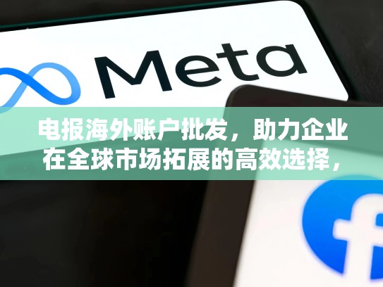 电报海外账户批发,助力企业在全球市场拓展的高效选择,电报海外账户批发怎么做