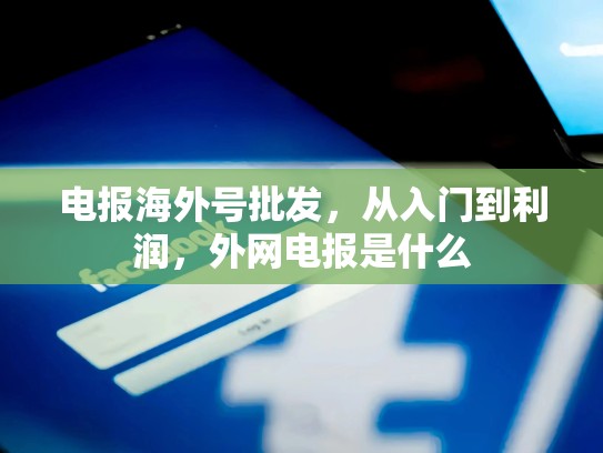 电报海外号批发，从入门到利润，外网电报是什么