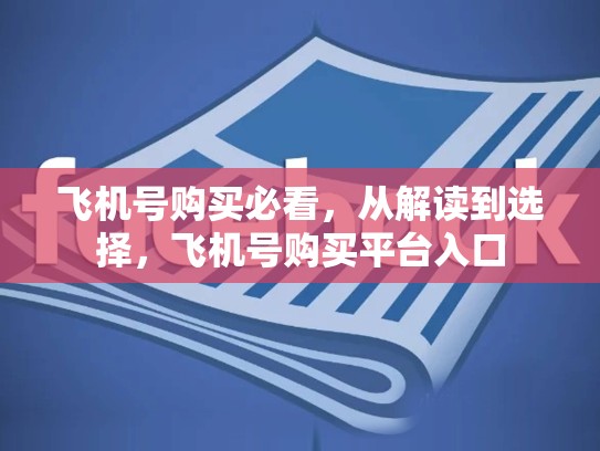 飞机号购买必看，从解读到选择，飞机号购买平台入口