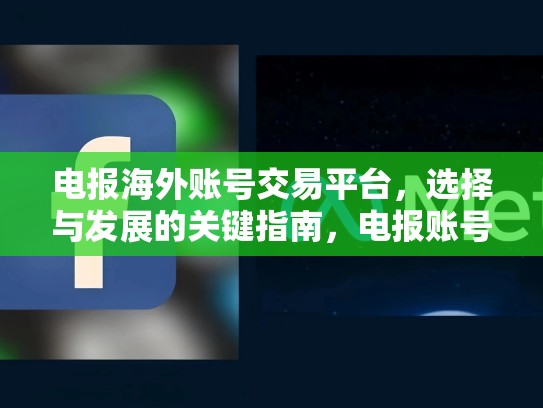 电报海外账号交易平台，选择与发展的关键指南，电报账号是什么意思
