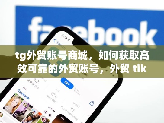 tg外贸账号商城，如何获取高效可靠的外贸账号，外贸 tiktok