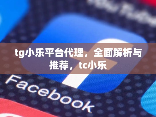 tg小乐平台代理,全面解析与推荐,tc小乐