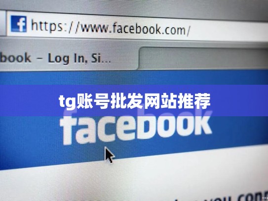 tg账号批发网站推荐