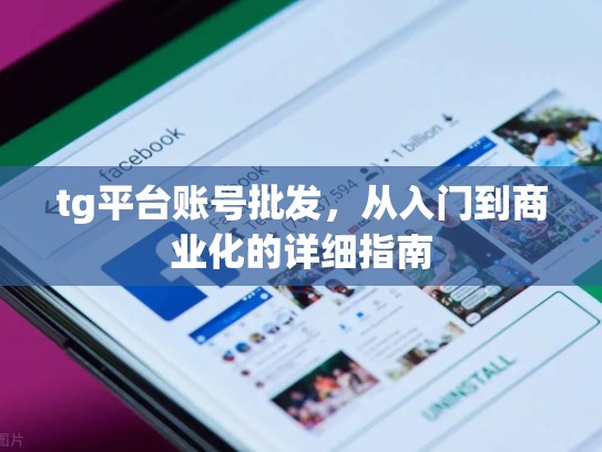 tg平台账号批发，从入门到商业化的详细指南