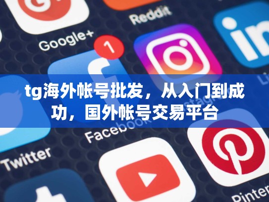 tg海外帐号批发,从入门到成功,国外帐号交易平台
